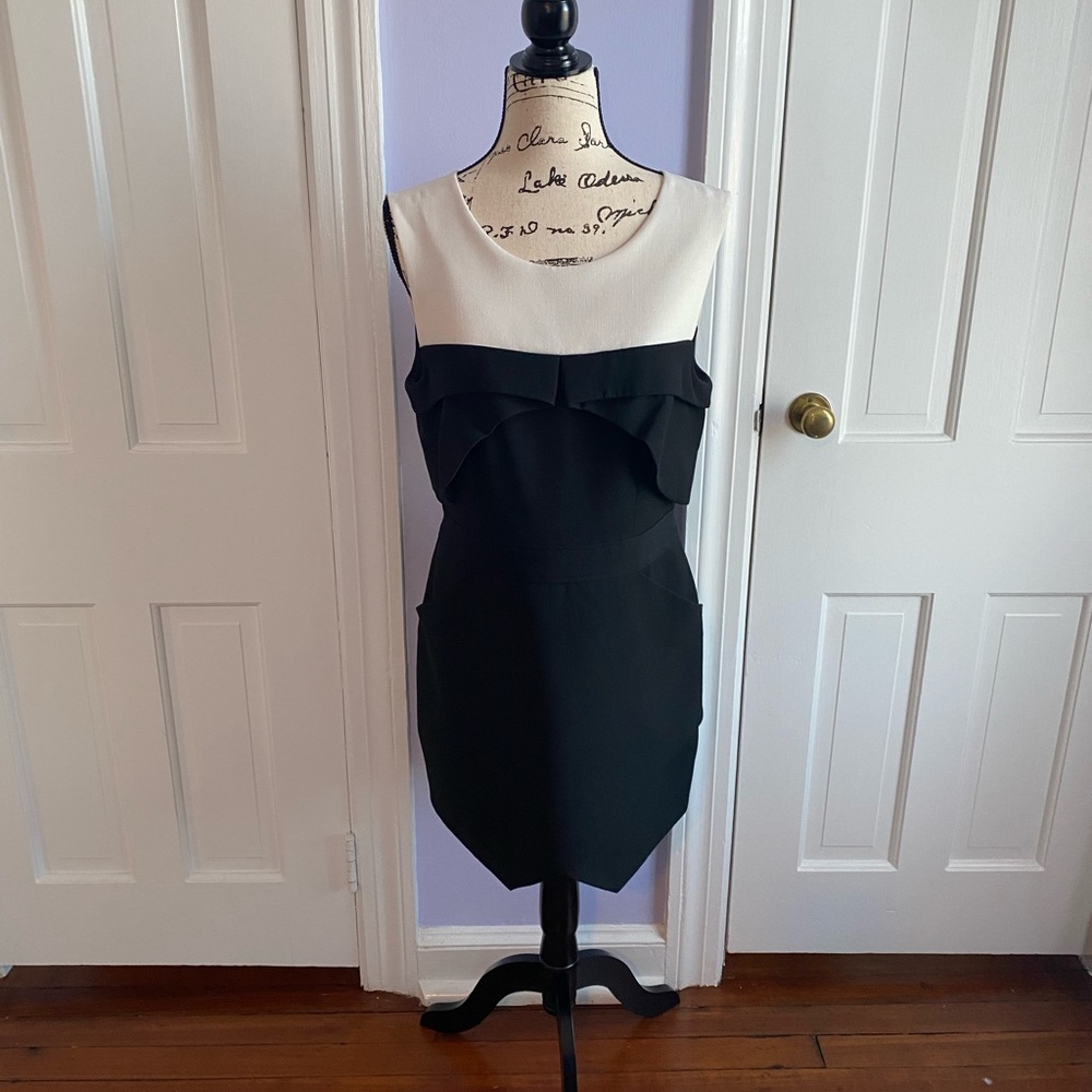 BCBG MaxAzria - Black & White Mini Dress